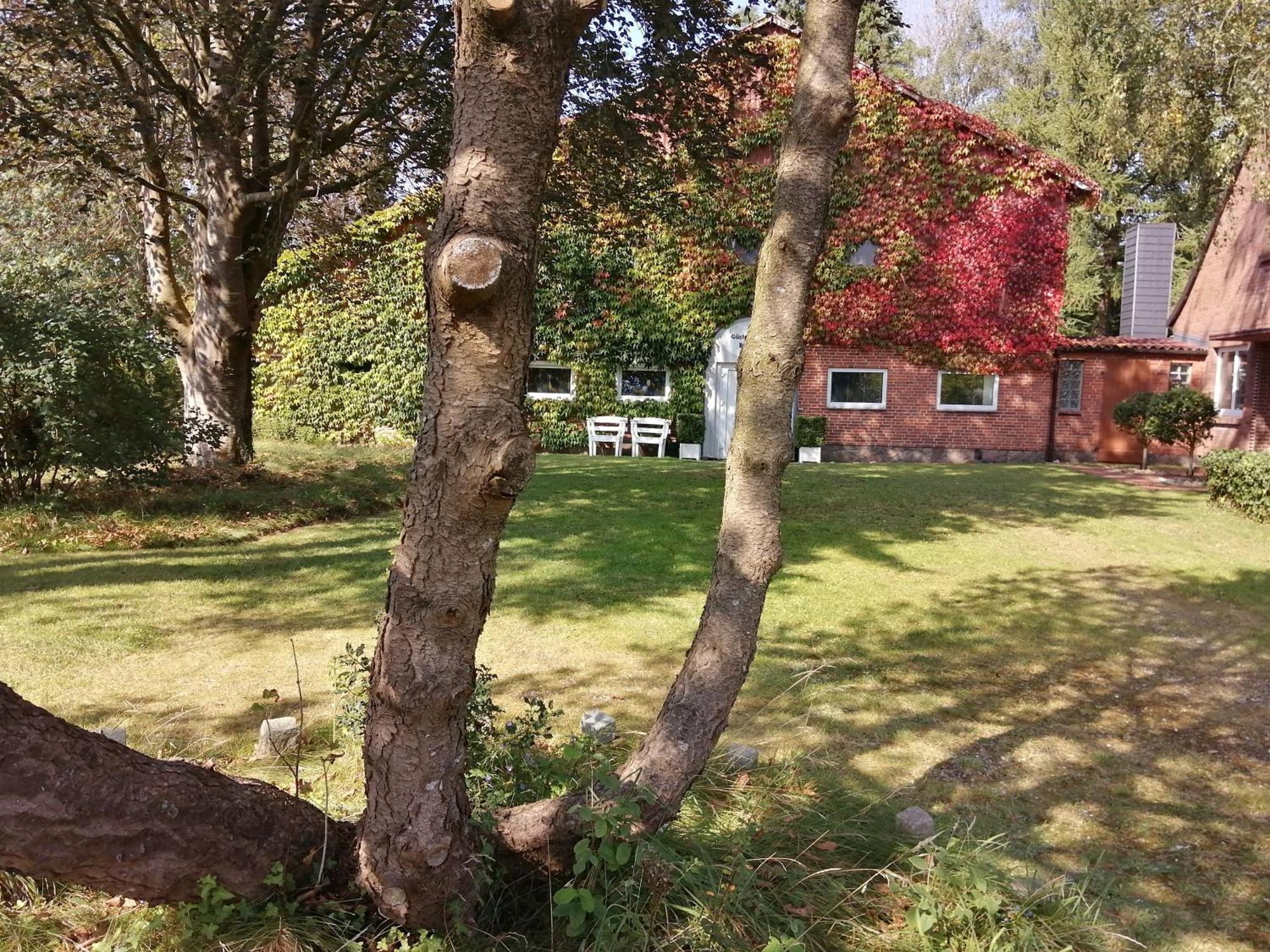 Ferienwohnung Benedict Klein Rheide Eksteriør billede